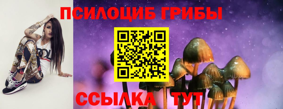 Псилоцибиновые грибы мицелий Ростов Великий